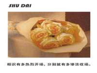 博澳智慧能源（大连）有限公司