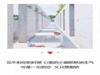 博澳智慧能源（大连）有限公司