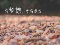 博澳智慧能源（大连）有限公司