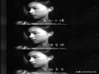 博澳智慧能源（大连）有限公司