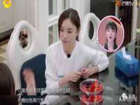 博澳智慧能源（大连）有限公司