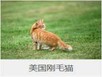 博澳智慧能源（大连）有限公司