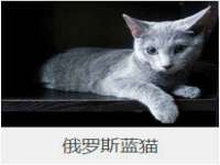 博澳智慧能源（大连）有限公司