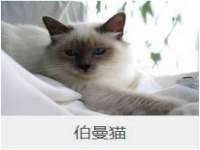 博澳智慧能源（大连）有限公司