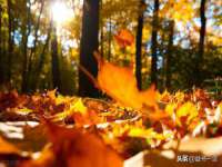 博澳智慧能源（大连）有限公司