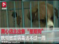 博澳智慧能源（大连）有限公司