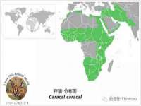 博澳智慧能源（大连）有限公司