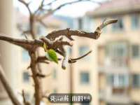博澳智慧能源（大连）有限公司