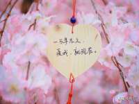 博澳智慧能源（大连）有限公司