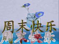 博澳智慧能源（大连）有限公司
