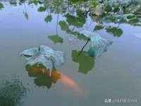 博澳智慧能源（大连）有限公司