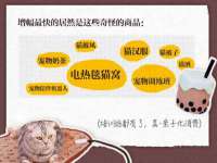 博澳智慧能源（大连）有限公司
