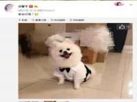 博澳智慧能源（大连）有限公司