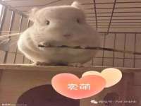 博澳智慧能源（大连）有限公司
