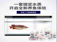 博澳智慧能源（大连）有限公司
