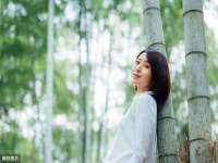 博澳智慧能源（大连）有限公司