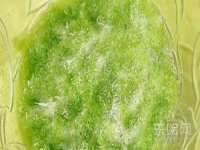 博澳智慧能源（大连）有限公司