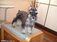 博澳智慧能源（大连）有限公司