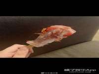 博澳智慧能源（大连）有限公司