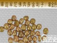 博澳智慧能源（大连）有限公司